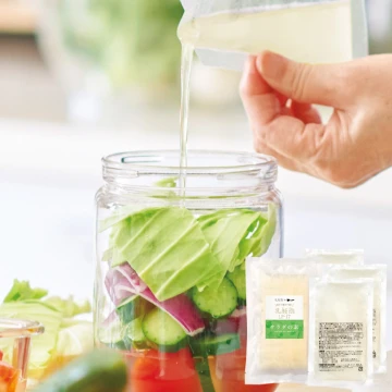 乳酸菌サラダの素