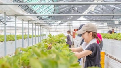 和と九州果実を堪能できるカフェ『果樹蔵フルーツ工房 白金』夏季限定「果樹蔵のかき氷」を6月3日（月）より提供開始