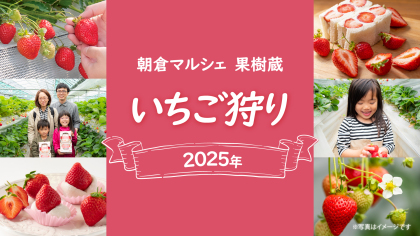 『朝倉マルシェ 果樹蔵』2025年いちご狩りについて